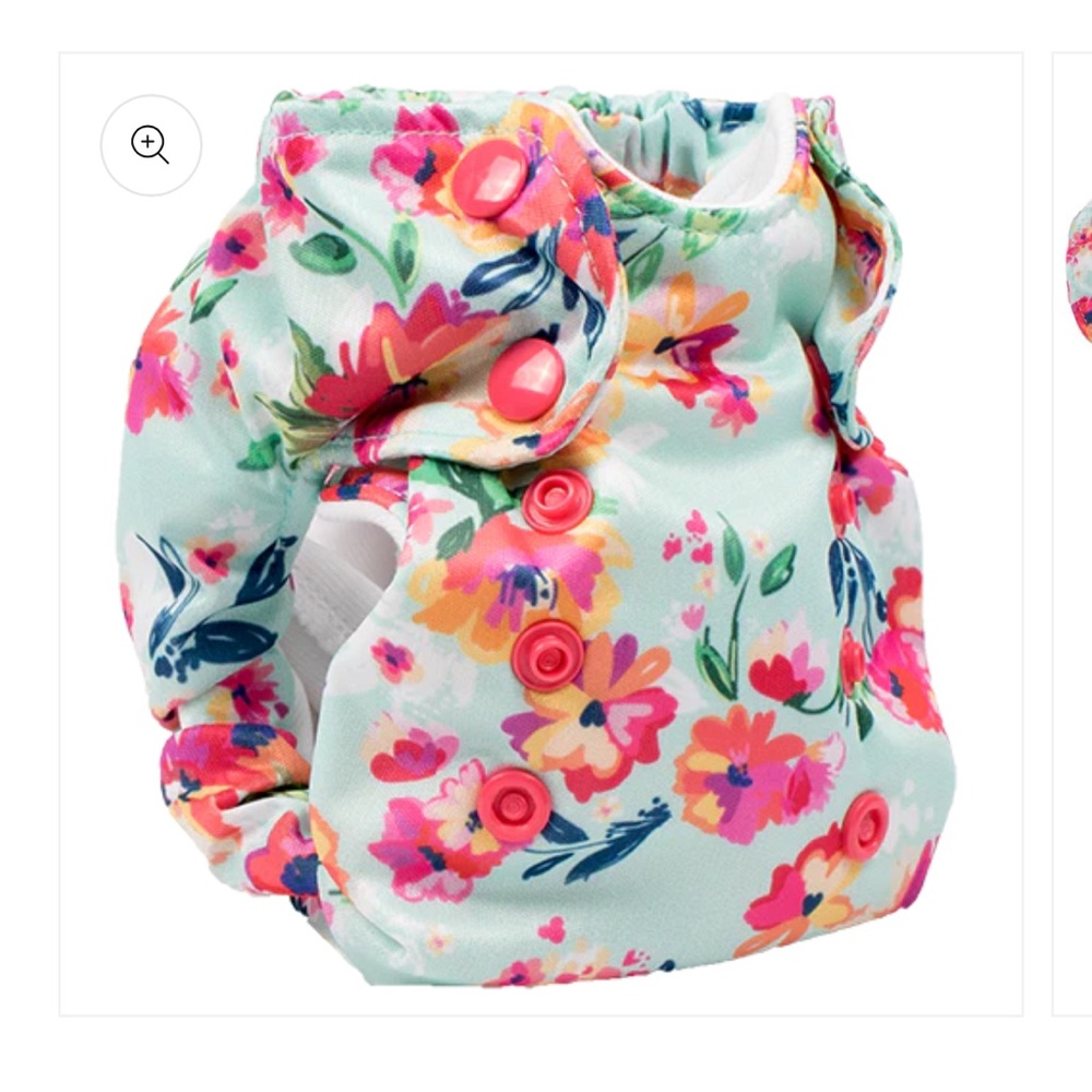 Smart Bottoms Born Smart 2.0 Cloth Diaper